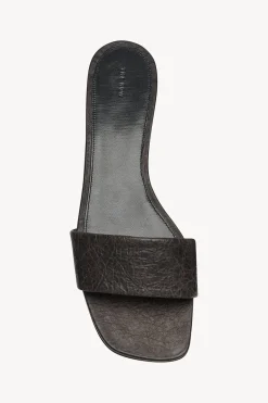 Ann Slide